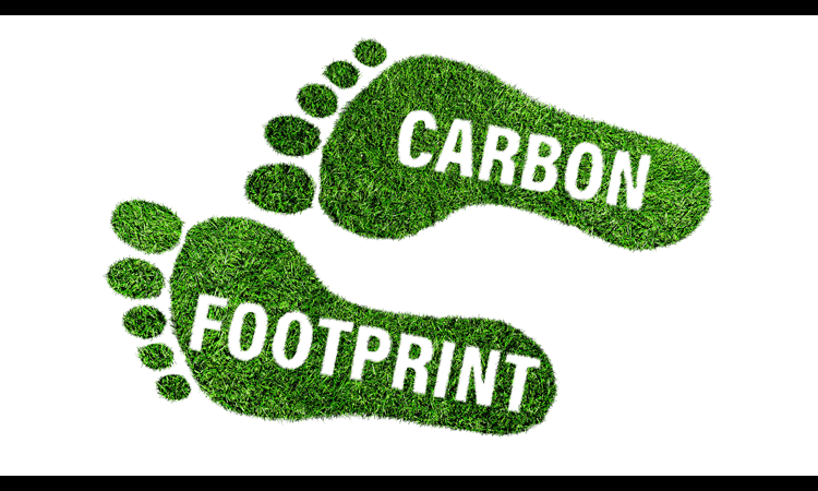 How to Reduce Carbon Footprints