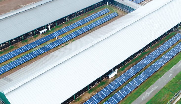 600KW Grid Tied Solar Power Plant Installed at Interloop Dairies