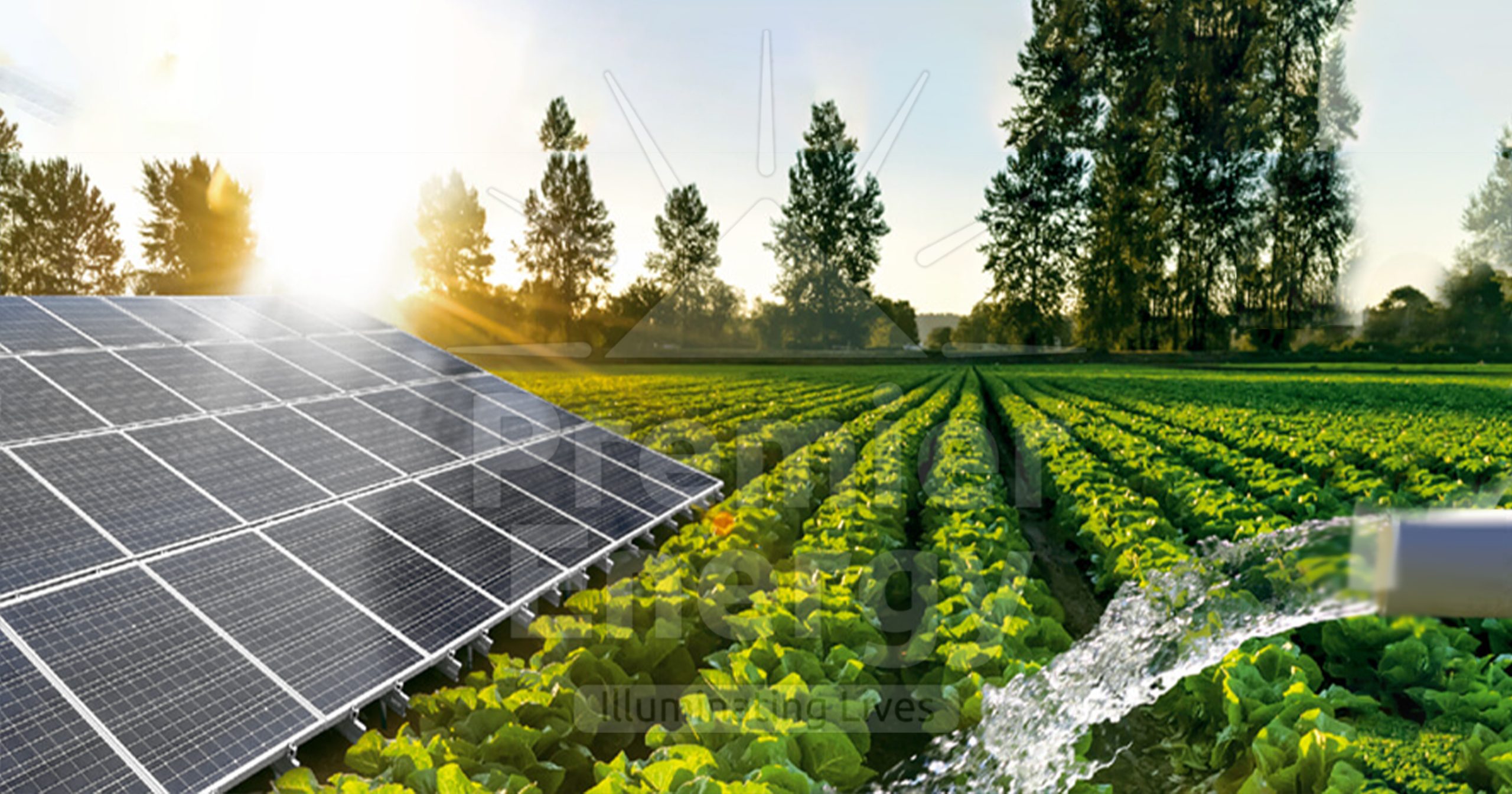 Solar Pumps For Agriculture